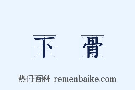 下顎骨是什么意思的图片
